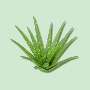 Hero ingredient 3