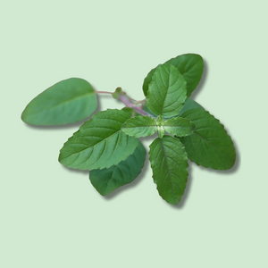 Hero ingredient 2
